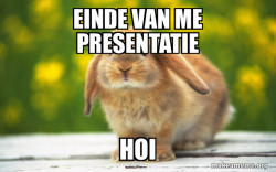 Regretful Rabbit