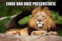 Contemplative Lion