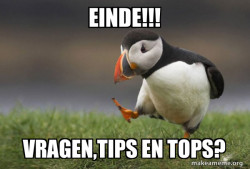 Unpopular Opinion Puffin