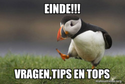 Unpopular Opinion Puffin