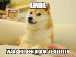 Doge