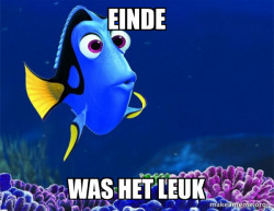 Dory from Nemo  (5 second memory)