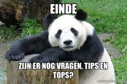 Confession Panda