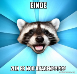 Lame Pun Coon
