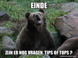 Sarcastic Bear