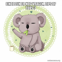 Aussie Koala doing the night shift