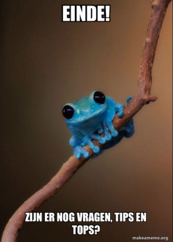 Small Fact Frog