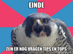 Millennial Falcon