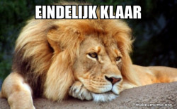 Confession Lion