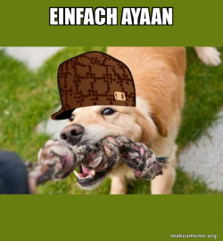 Scumbag dog