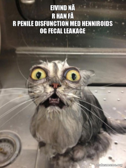 Cat bath