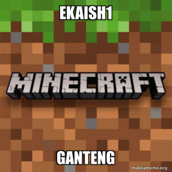 Minecraft