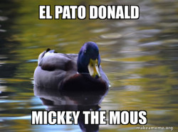 Zen Advice Mallard