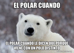 Popular Opinion Polar Bear