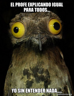 Weird Stuff I do Potoo