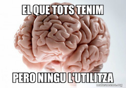 Scumbag Brain