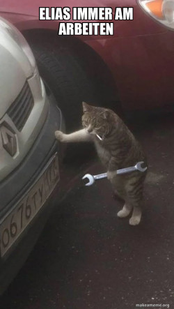 Mechanic Cat