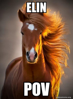 Ridiculously photogenic horse