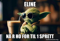 Cool Yoda (Sunglasses)