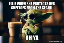 Cool Yoda (Sunglasses)