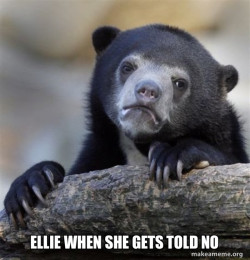 Confession Bear