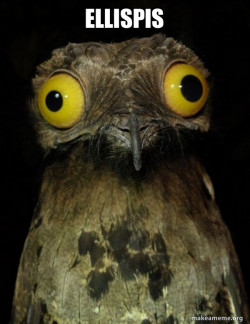 Weird Stuff I do Potoo