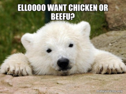 Popular Opinion Bear