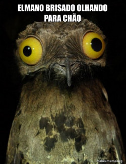 Weird Stuff I do Potoo