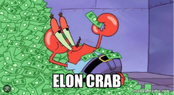 Elon crab