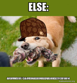 Scumbag dog