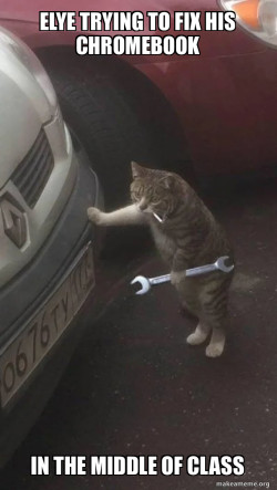 Mechanic Cat