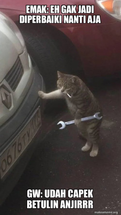 Mechanic Cat