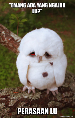 Sad Owl