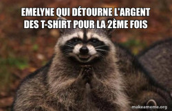 Evil Plotting Raccoon