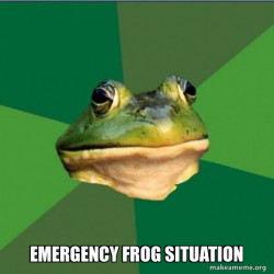 Foul Bachelor Frog