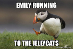 Unpopular Opinion Puffin