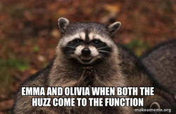 Evil Plotting Raccoon
