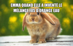 Regretful Rabbit