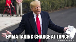 Trump - Impeachment Quid Pro Quo