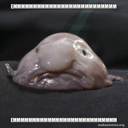 Blobfish
