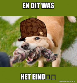 Scumbag dog