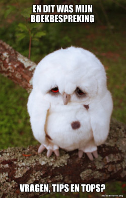 Sad Owl