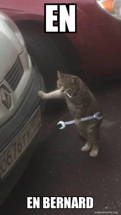 Mechanic Cat