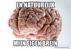 Scumbag Brain