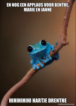 Small Fact Frog