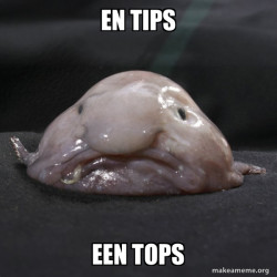 Blobfish
