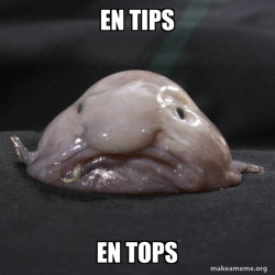 Blobfish