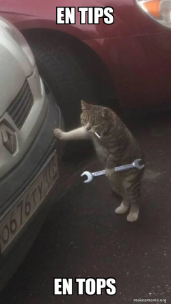 Mechanic Cat