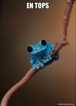 Small Fact Frog