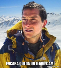 Bear Grylls